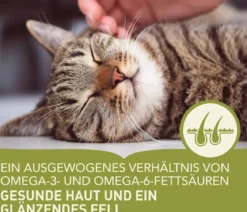 ACANA Trockenfutter für Katzen Adult Cat Homestead Harvest