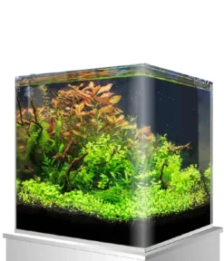 amtra Aquarium Nanotank