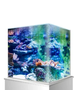 amtra Aquarium Nanotank