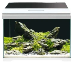 amtra Aquarium-Set Modern Tank 40 LED, 28 l, weiß, ca. B42,5/H36,5/T23,5 cm