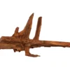 amtra Mangrovenholz XL, 70 - 100cm