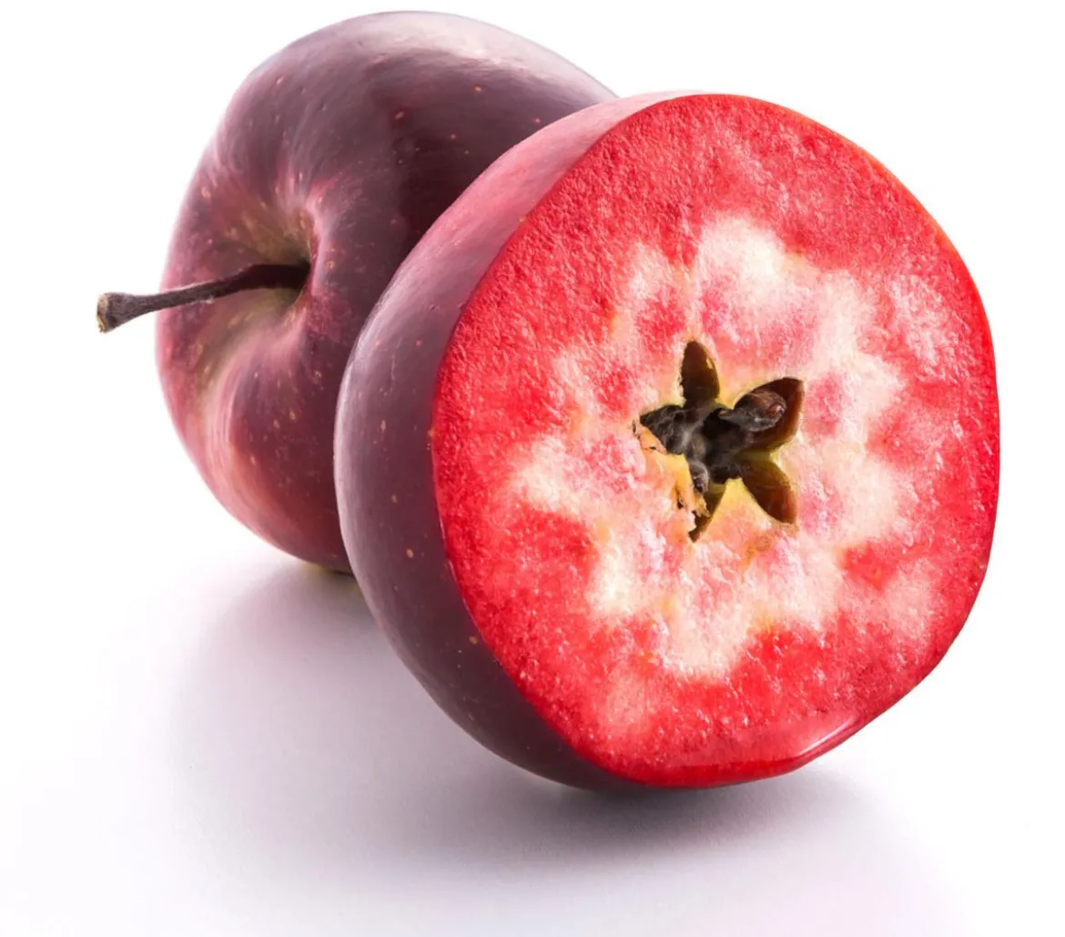 Apfel 'Vampira'