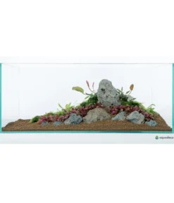 aquadeco Aquariumdeko Set Galapagos Stein