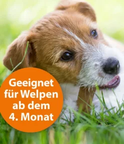 ARDAP® Zecken- und Flohschutz Spot-On für kleine Hunde, 3 x 1 ml