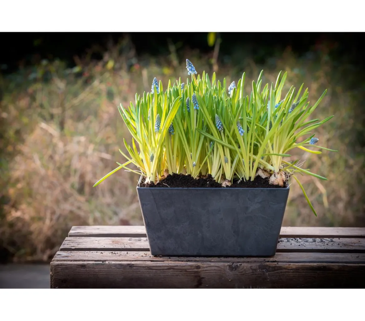 Artstone Kunststoff-Blumenkasten Ella