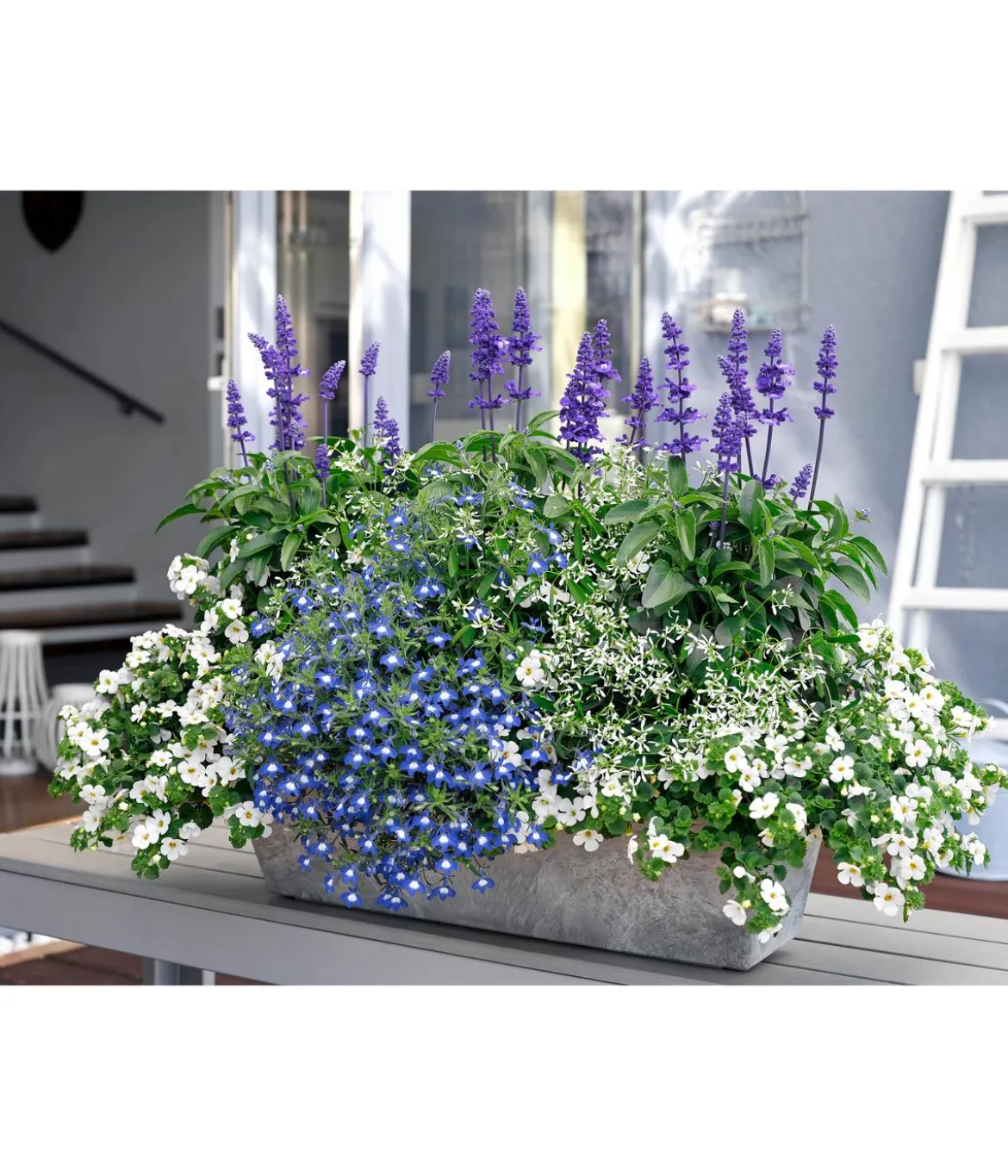Artstone Kunststoff-Blumenkasten Ella