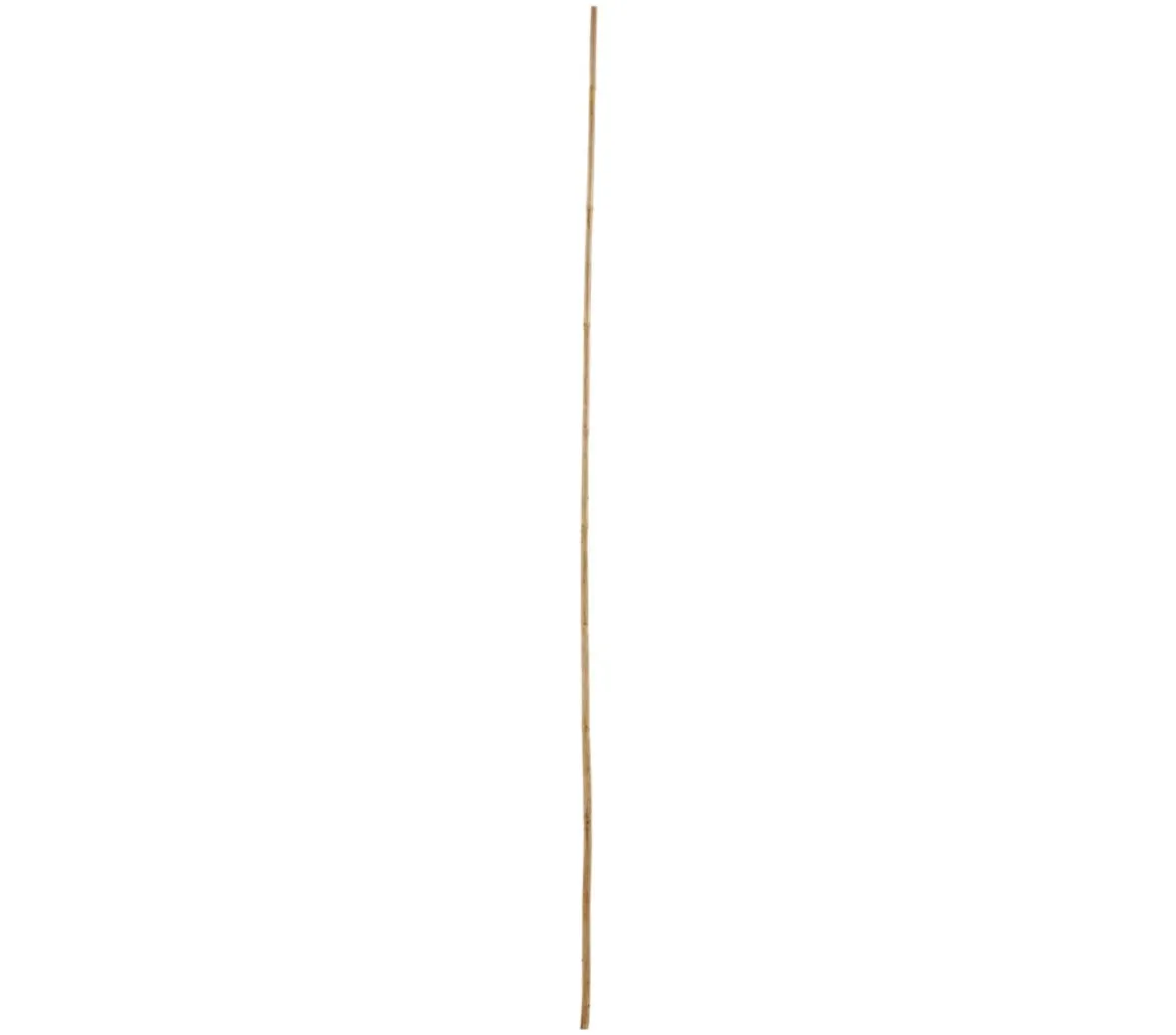 Bambusstäbe