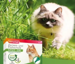 beaphar Zecken- & Flohschutz SPOT-ON für Katzen, 3x0,8 ml