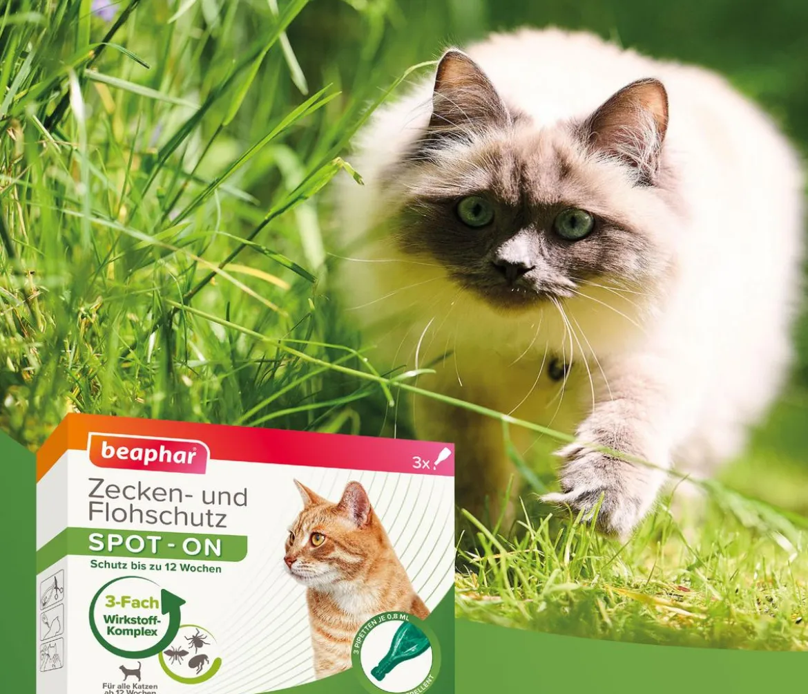beaphar Zecken- & Flohschutz SPOT-ON für Katzen, 3x0,8 ml