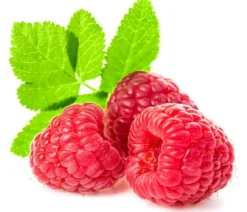 Beeren-Set Marmeladen-Mix, 4-teilig