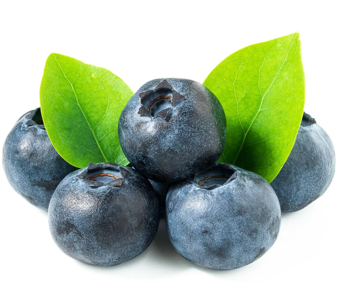 Beeren-Set Marmeladen-Mix, 4-teilig