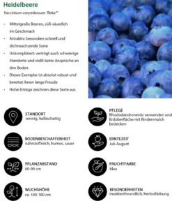 Beeren-Set Marmeladen-Mix, 4-teilig