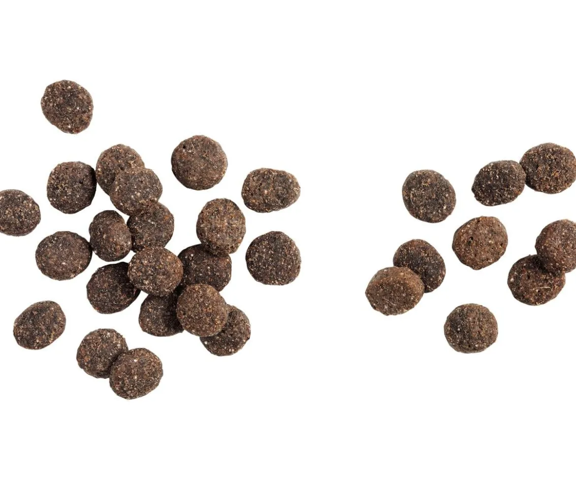 BELCANDO® Trockenfutter für Hunde Baseline Explorer, Mini Adult, Fisch, 12,5 kg