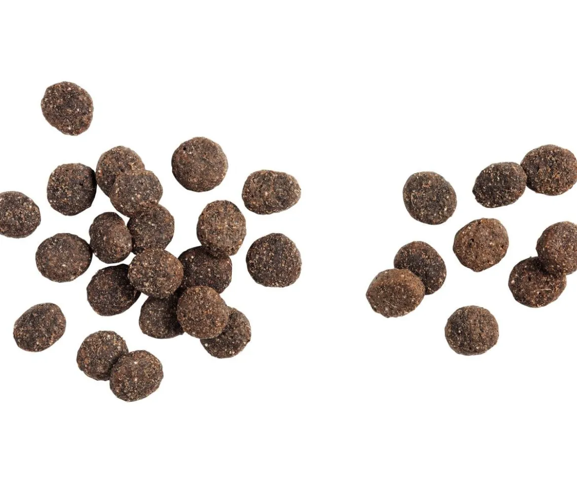 BELCANDO® Trockenfutter für Hunde Baseline Joker Mini Adult, Geflügel, 12,5 kg
