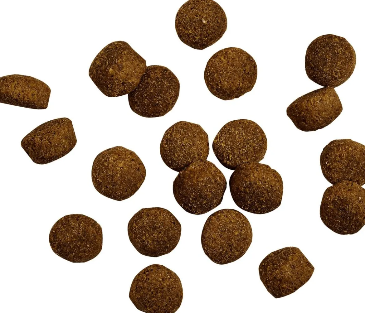 BELCANDO® Trockenfutter für Hunde Baseline Ranger Adult, Rind, 12,5 kg