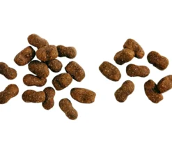 BELCANDO® Trockenfutter für Hunde Baseline Young, Junior, Geflügel, 12,5 kg