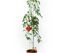 bellissa Metall-Tomatensäule, grün