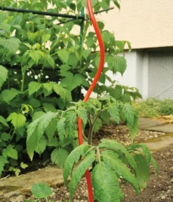 bellissa Stahl-Tomatenspirale Colorata