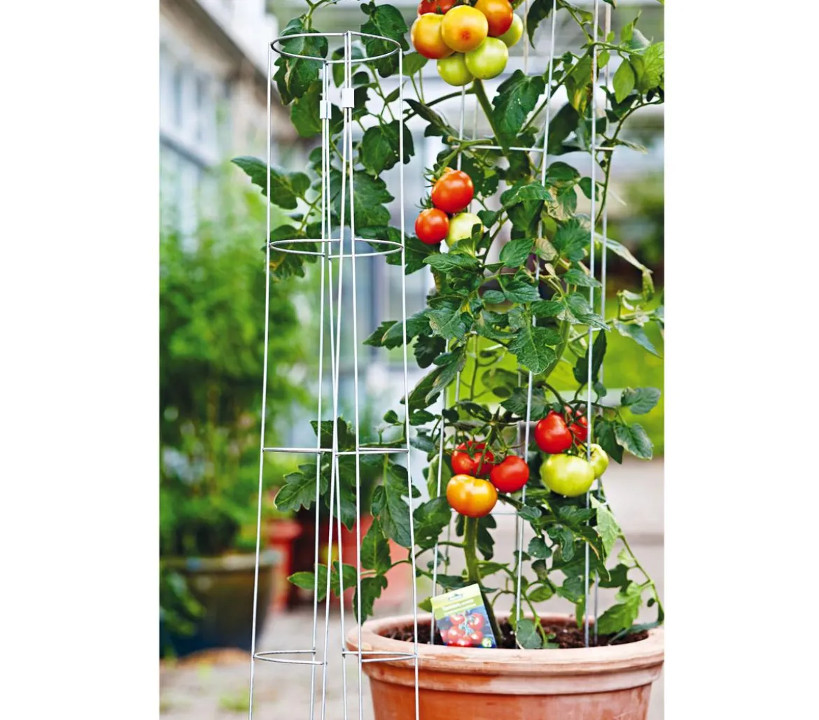 bellissa Tomatenturm