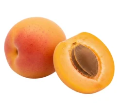 Bio Aprikose 'Harlayne', Landlust Kollektion