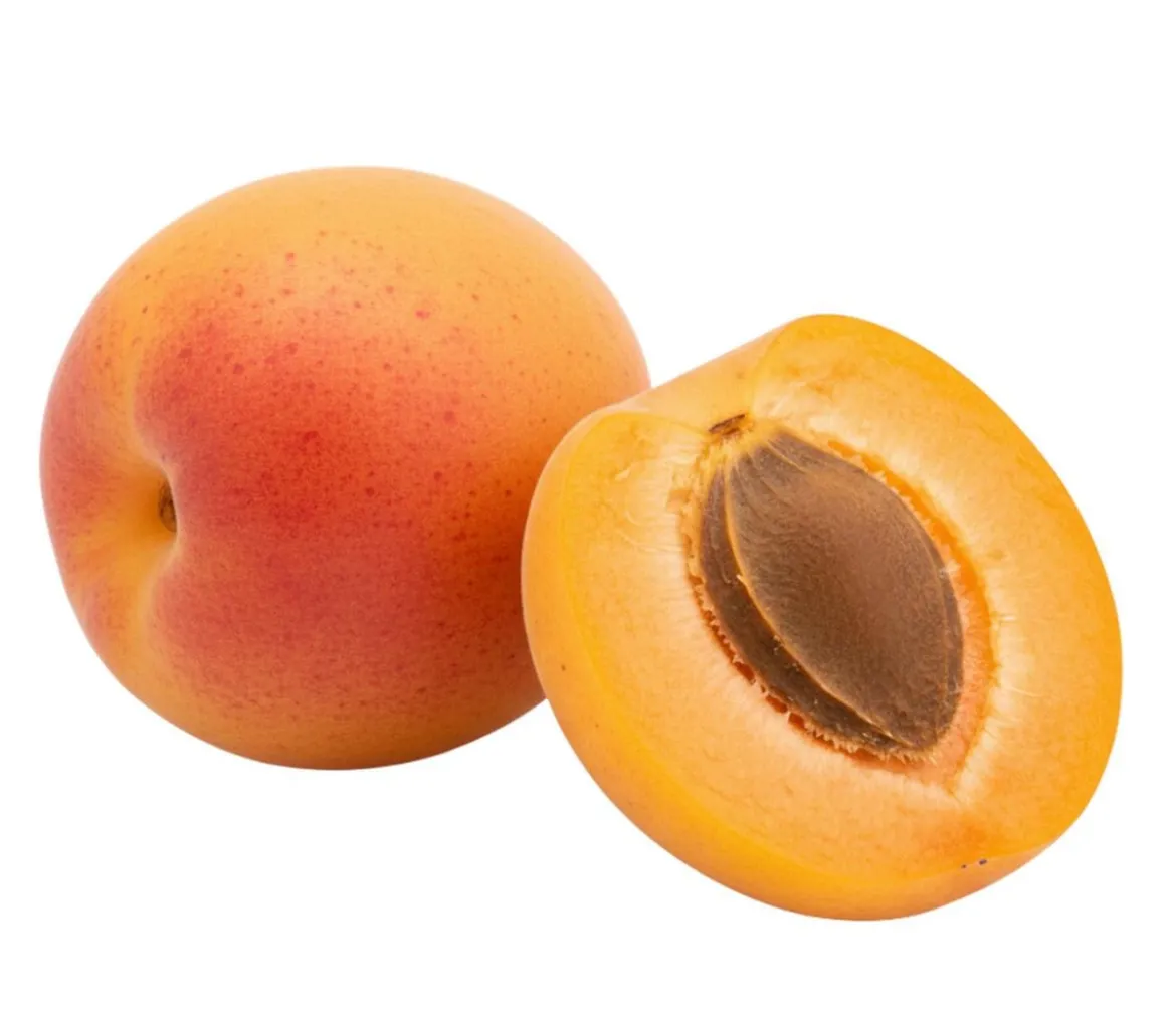 Bio Aprikose 'Harlayne', Landlust Kollektion