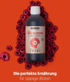 BioBizz® Flüssigdünger Starter-Set inkl. Messhilfe, 5-teilig