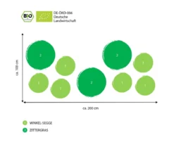 Bio Bodendecker Gräser-Set Grüne Oase, 9-teilig