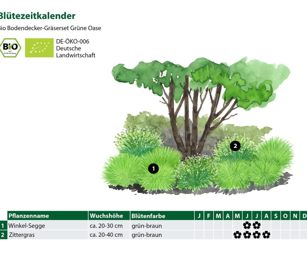 Bio Bodendecker Gräser-Set Grüne Oase, 9-teilig