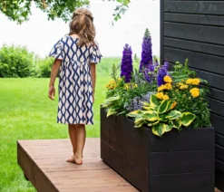 Bio Gartensalbei