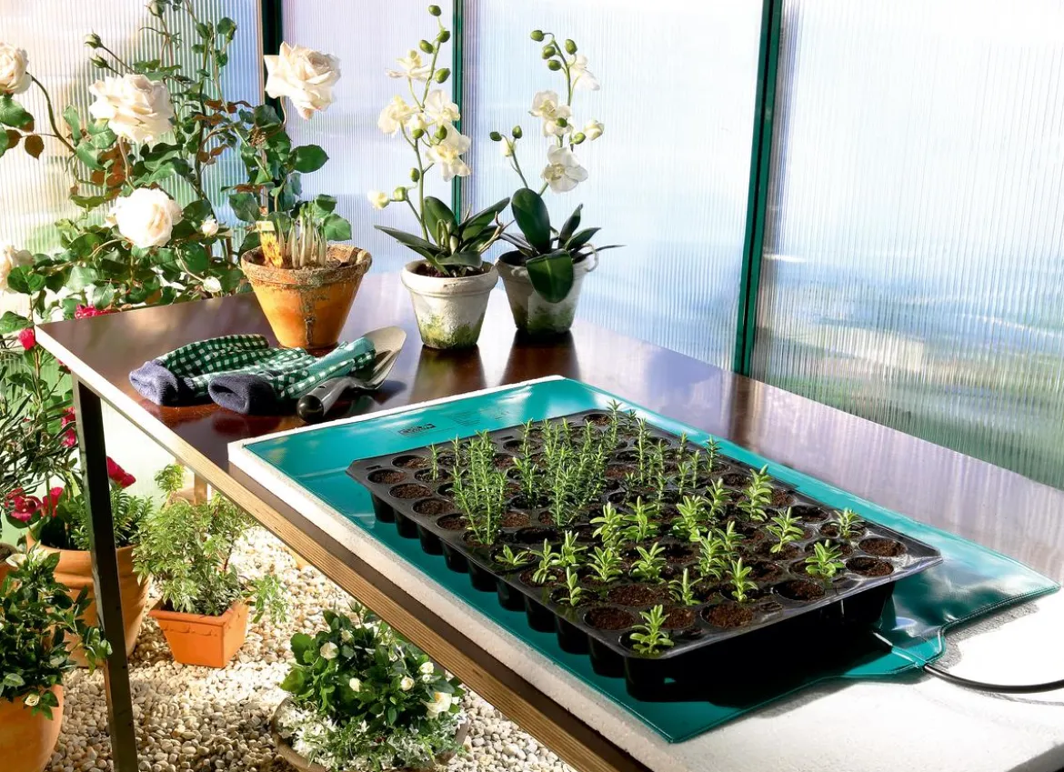 Bio Green Wärmeplatte für Pflanzen