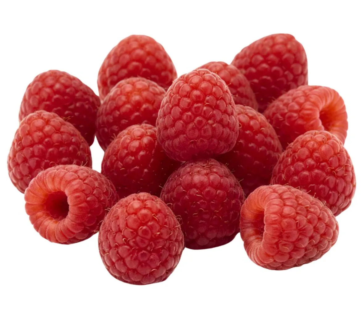Bio Himbeere 'Sanibelle'®