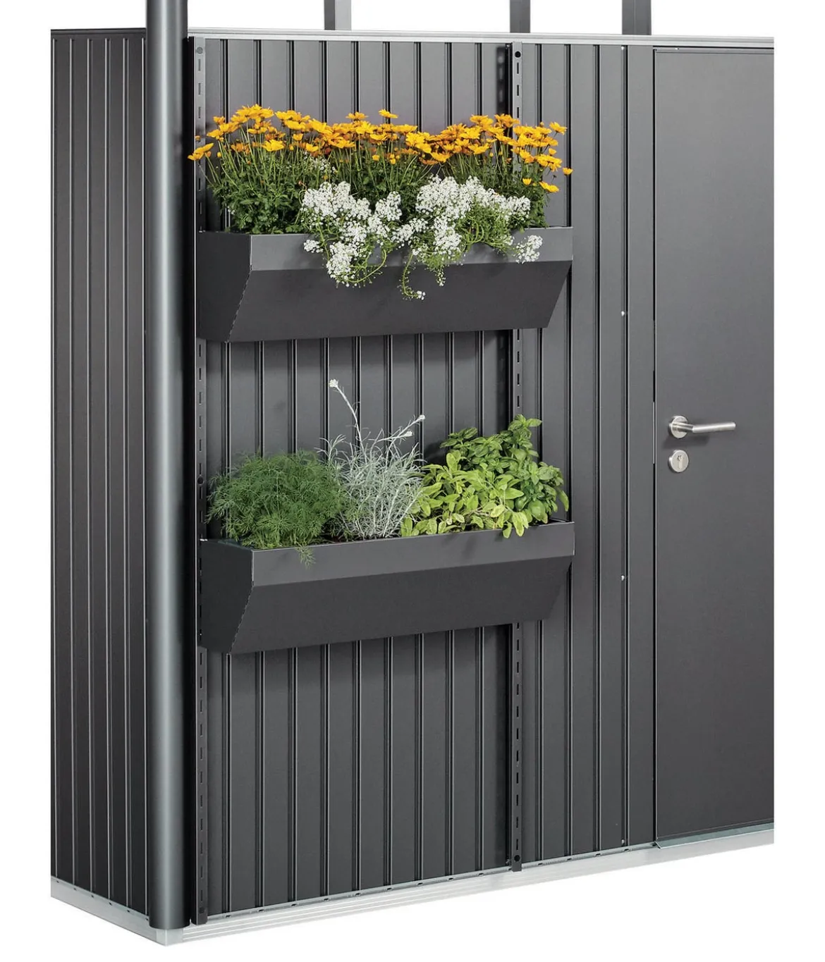 Biohort FloraBoard, 2 Stück