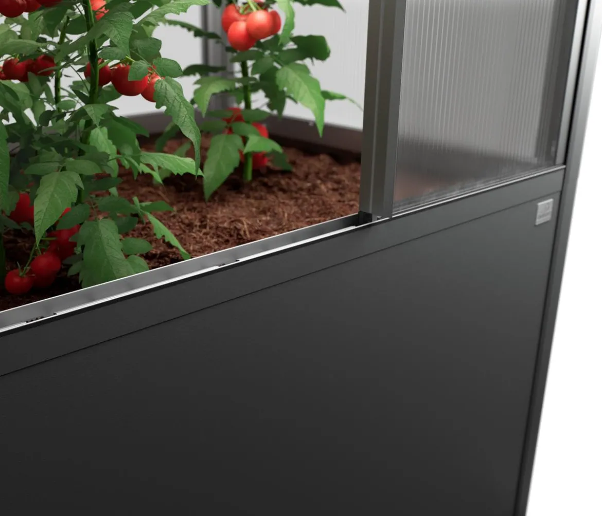 Biohort Gewächshaus Florentina 2 x 1 MAXI, ca. B201,6/H213,4/T104 cm