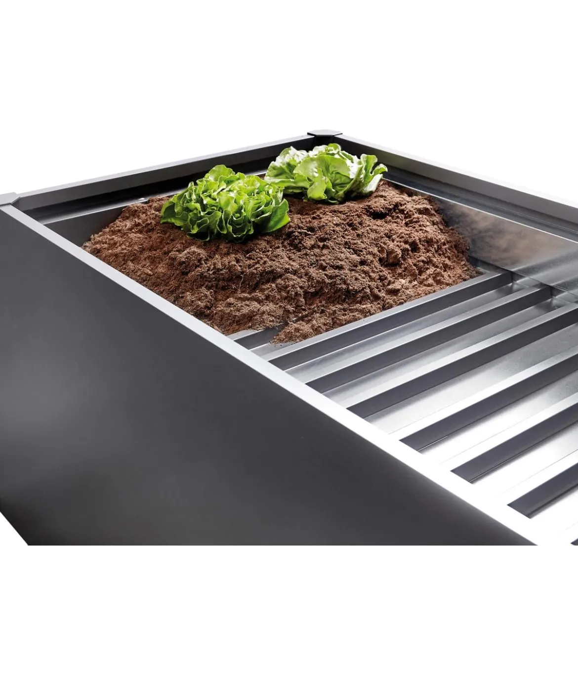 Biohort Zwischenboden für Hochbeet 1,5x0,5