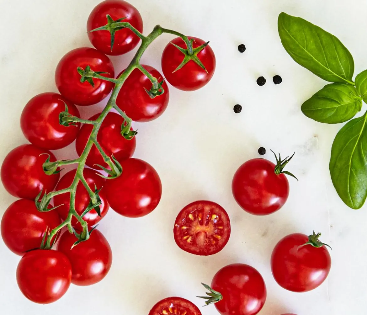 Bioland Cherrytomate, veredelt