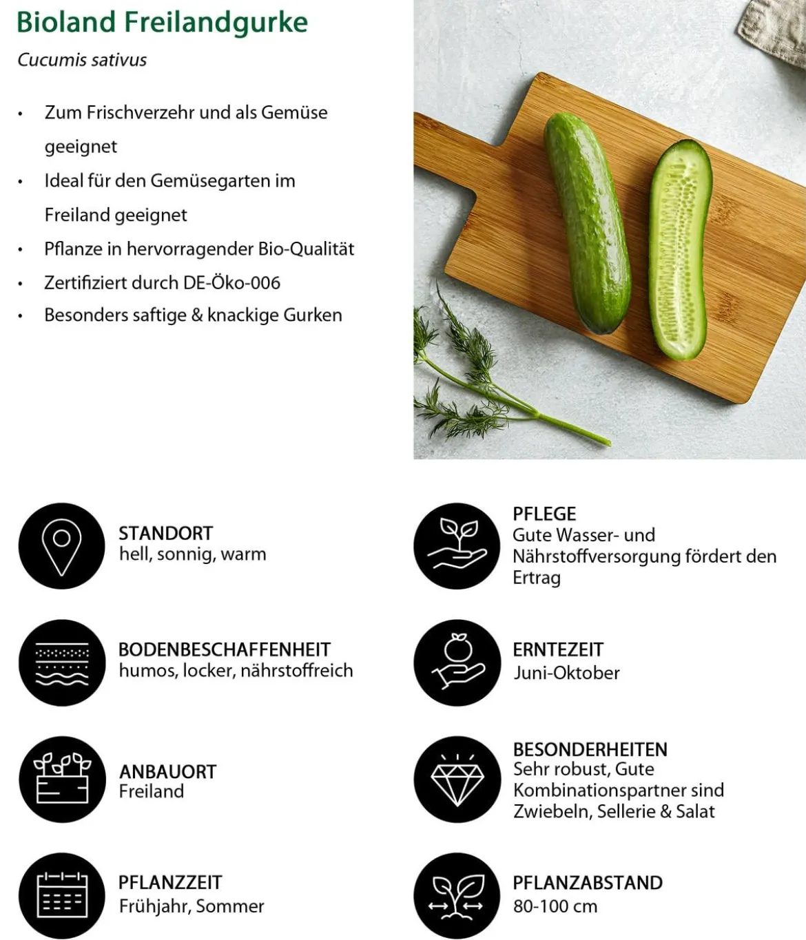 Bioland Freilandgurke