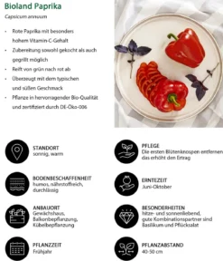 Bioland Gemüseset Gemüsetraum, 6-teilig