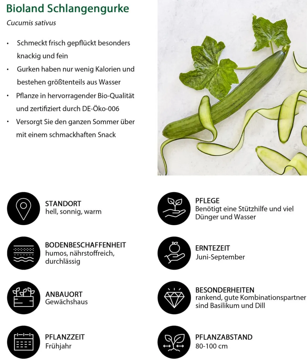 Bioland Gemüseset Gemüsetraum, 6-teilig