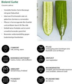 Bioland Gemüseset Gesunde Mischung, 3-teilig