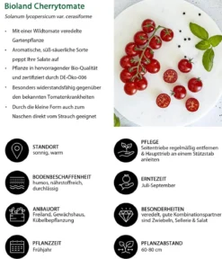 Bioland Gemüseset Tomatensalat, 3-teilig
