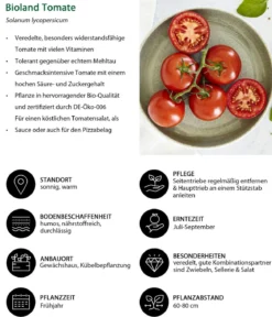 Bioland Gemüseset Tomatensalat, 3-teilig