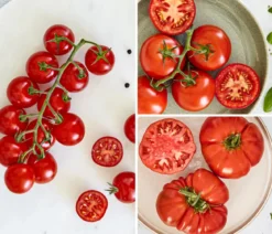 Bioland Gemüseset Tomatensalat, 3-teilig