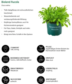 Bioland Rucola