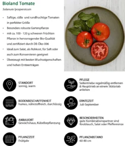 Bioland Tomate, rundfruchtig