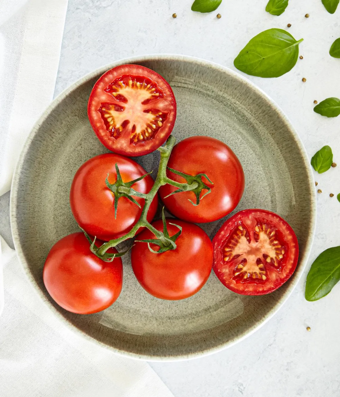 Bioland Tomate, veredelt