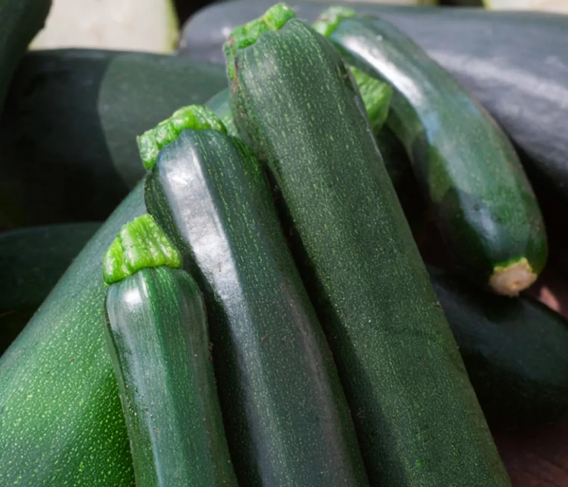 Bioland Zucchini