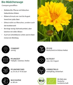 Bio Mädchenauge