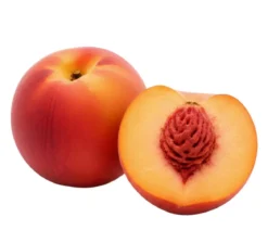 Bio Pfirsich 'Suncrest', Landlust Kollektion