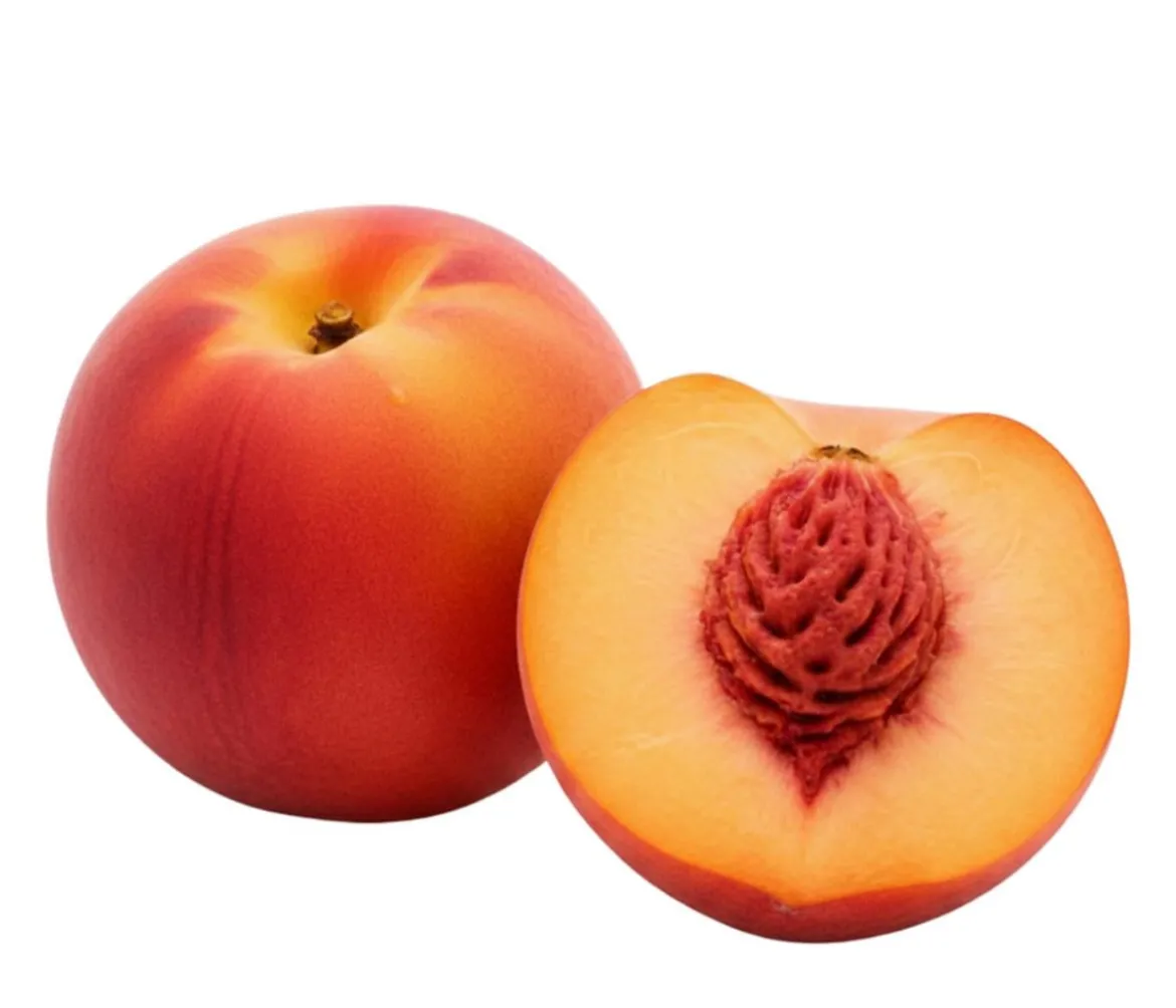 Bio Pfirsich 'Suncrest', Landlust Kollektion