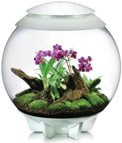 biOrb® Terrarium AIR 60
